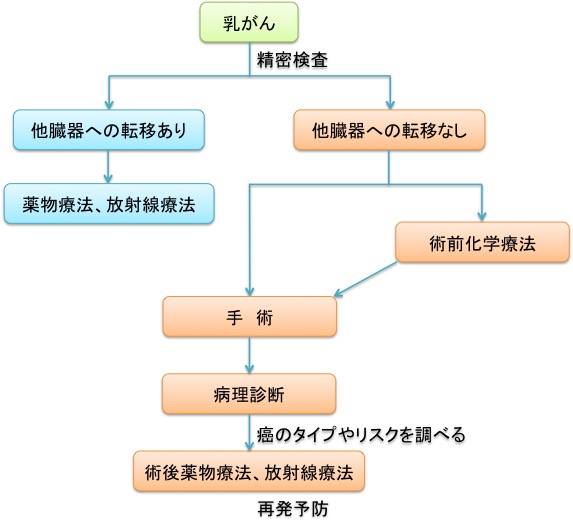 乳がん患者さんの診療