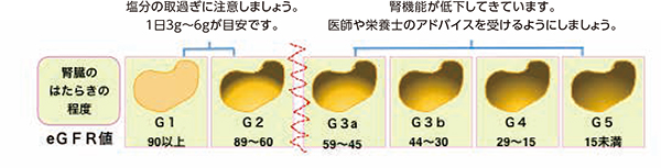 この検査数値に注目！！「eGFR」