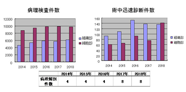 過去7年間の当院での病理診断件数